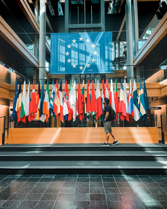 Interior view of European Parliament with multiple national flags and a person observing.